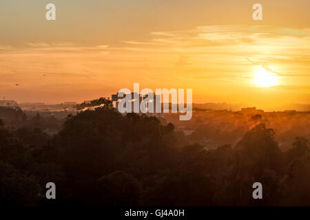 Richmond Park, Londra UK. Il 12 agosto 2016. Bella serata nel parco alla fine di una giornata di sole. Vista tramonto da Richmond. copyright Carol moiré/Alamy Live News Foto Stock