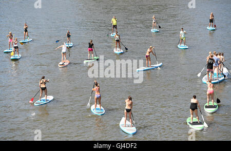 Francoforte, Germania. 13 Ago, 2016. Un gruppo di giovani donne che celebra un partito di gallina con stand-up-paddling durante l estate meteo sul fiume principale di Francoforte sul Meno, Germania, 13 agosto 2016. Foto: ARNE DEDERT/dpa Credito: dpa picture alliance/Alamy Live News Foto Stock