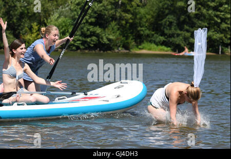 Francoforte, Germania. 13 Ago, 2016. Sposa Sandra Illner (r) saltare in acqua durante il suo partito di gallina con stand-up-paddling durante l estate meteo sul fiume principale di Francoforte sul Meno, Germania, 13 agosto 2016. Foto: ARNE DEDERT/dpa Credito: dpa picture alliance/Alamy Live News Foto Stock