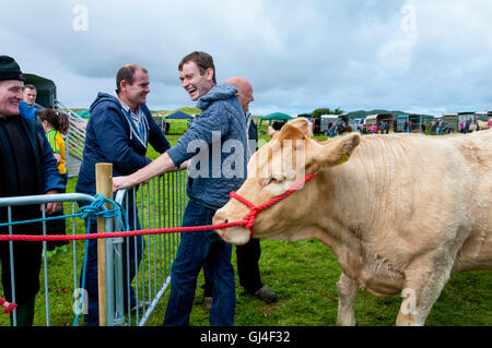 Ardara, County Donegal, Irlanda. 13 Ago, 2016. Gli agricoltori condividere uno scherzo a Ardara annuale fiera agricola nelle zone rurali west coast città. Foto di:Richard Wayman Credito: Richard Wayman/Alamy Live News Foto Stock