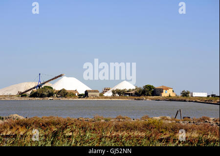 Funzionamento del sito sale marino di Aigues-Mortes salina con grandi macchine e camion che lavorano per la memorizzazione di sale Foto Stock