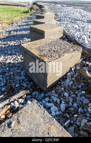 Anti-serbatoio cubetti da II Guerra Mondiale per impedire l'invasione. Spiaggia di Aberthaw, South Wales, Regno Unito, Europa Foto Stock