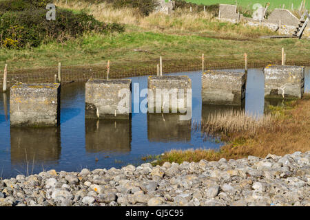 Anti-serbatoio cubetti da II Guerra Mondiale per impedire l'invasione. Spiaggia di Aberthaw, South Wales, Regno Unito, Europa Foto Stock