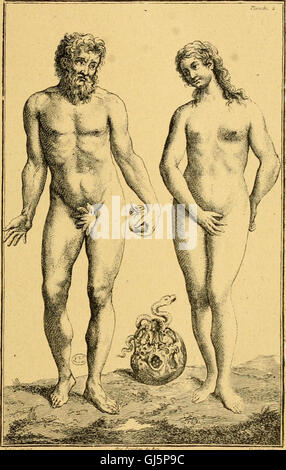 Histoire de l'anatomie plastique - les maitres, les livres et les ècorchès (1898)