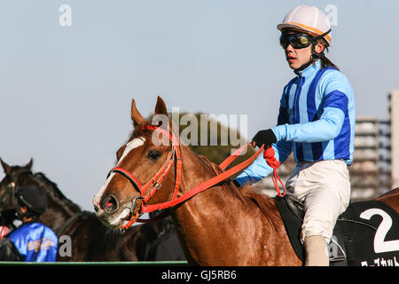 Taglio di Rose cavallo Dia numero 2 è arrivato quarto in questa gara 9 caso su 1600 metri sul fondo erboso. Il jockey Masami Matsuoka raccolti 2,9 m Foto Stock