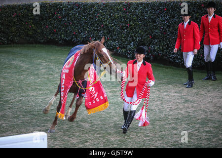 Vincitore di gara 11, la grande gara della giornata la American Jockey Club Cup con montepremi di oltre 115 milioni di yen. Questo è stato Foto Stock