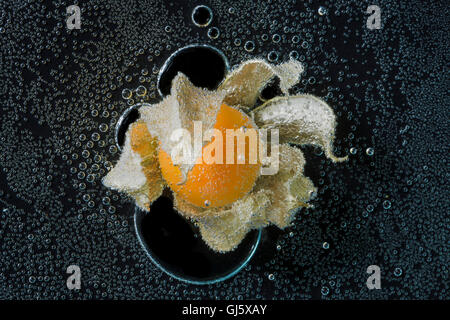 Physalis frutto in acqua minerale, una serie di foto. Close-up di acqua gassata su sfondo nero Foto Stock