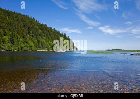 Grande Fiume di salmoni è un piccolo fiume a sud del New Brunswick che fluisce a sud nella Baia di Fundy. Foto Stock