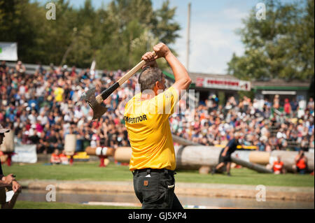 Un concorrente in ax evento di lancio. La Squamish logger logger giorno evento sportivo. Foto Stock