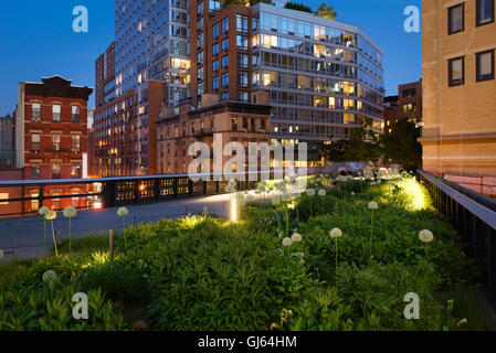 La linea alta (antenna verde-vie) al crepuscolo in estate vicino a 10th Avenue e la 17th Street (Chelsea). Manhattan, New York City Foto Stock