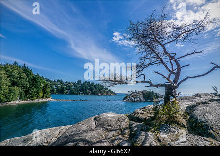 Whytecliff Park, West Vancouver Foto Stock