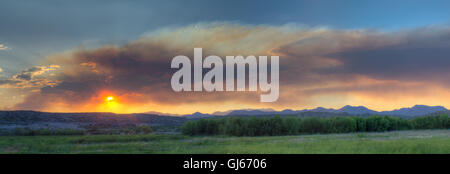 Il fumo proveniente da una foresta lontana il fuoco in una palude a Bosque del Apache National Wildlife Refuge, nuovo Messico, Stati Uniti d'America. Foto Stock