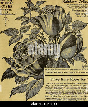 Agriturismo e guida floreali - semi, piante, lampadine, frutti e tuberi seme di patate (1896)