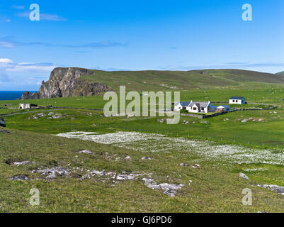 Dh FAIR ISLE SHETLAND Casa Cottage bog campo di cotone Foto Stock