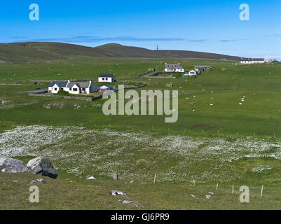 Dh Fair Isle Shetland Scozia Croft cottage in village bog campo di cotone Foto Stock