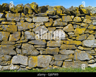 Dh secco muro di pietra FAIR ISLE SHETLAND Spiaggia di muro di pietra stalattite dyke Scozia in muratura Foto Stock