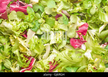 Insalata di verdure mescolare closeup texture Foto Stock