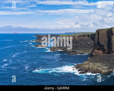 Costa dh ESHANESS SHETLAND seacliffs Eshaness Shetland isole scozzesi scozia scogliere di basalto Foto Stock