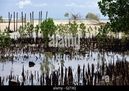 Kigamboni, Dar Es Salaam, Tanzania, vista dell'Oceano Indiano Foto Stock