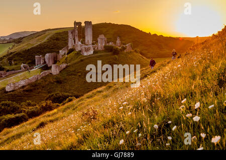 Un uomo e una donna a piedi passato Corfe Castle attraverso un prato di fiori selvaggi in golden orange impostazione della luce del sole, DORSET REGNO UNITO Foto Stock