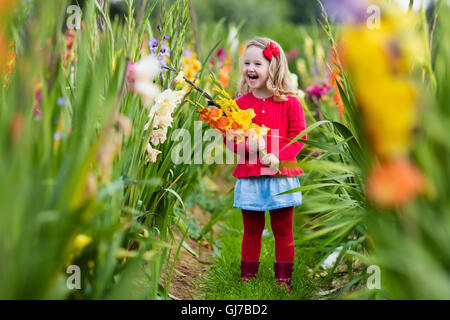 Little Girl holding gladiolus mazzo di fiori. Bambino picking fiori freschi in giardino. Bambini giardinaggio in autunno. Foto Stock