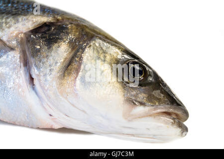 Appena pescato e preparato single sea bass Foto Stock