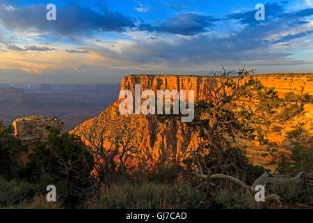 Un impressionante red rock butte dal lato est di Moran punto nel Parco Nazionale del Grand Canyon, Arizona Foto Stock