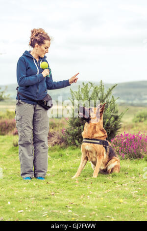 Cane obbedienza formazione sessione nel parco Foto Stock