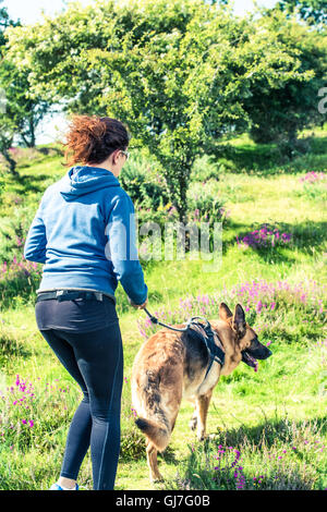 Giovane donna jogging con il cane all'aperto nella giornata di sole Foto Stock