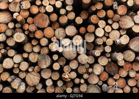 Industria di registrazione nello Yorkshire Regno Unito Foto Stock