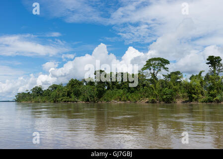 Foresta lungo il Rio Napo, un affluente del fiume del Amazon. Ecuador, Sud America. Foto Stock