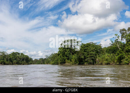 Foresta lungo il Rio Napo, un affluente del fiume del Amazon. Ecuador, Sud America. Foto Stock