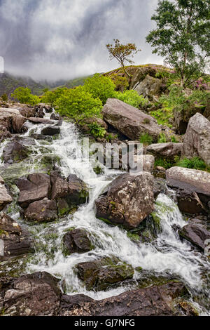 Cascata accanto alla pista di Llyn Idwal nel Parco Nazionale di Snowdonia, Gwynedd, Wales, Regno Unito. Foto Stock
