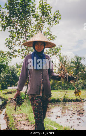 La donna lavora nel campo il 28 febbraio 2016 in Ubud, Bali, Indonesia Foto Stock