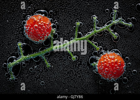 Pomodori ciliegia su un ramo in acqua minerale, una serie di foto. Close-up di acqua gassata su sfondo nero Foto Stock