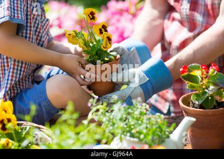 Proprietà rilasciato. Modello rilasciato. Padre e figlio azienda impianto in giardino, vicino. Foto Stock