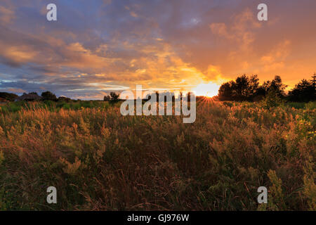 Nuvole al tramonto dopo la pioggia su campo abbandonato con l'erba,Regione Podlasie,Polonia,l'Europa Foto Stock