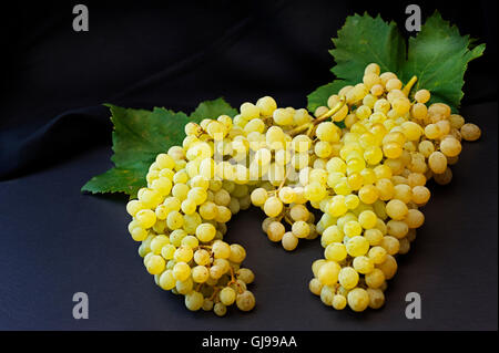 Ancora vita con uve mature su sfondo nero Foto Stock