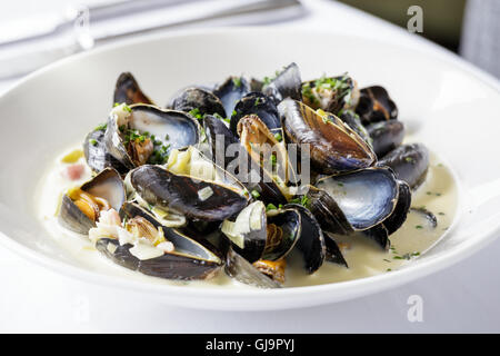 Cozze, moules mariniere servita su piastra bianca nel ristorante Foto Stock