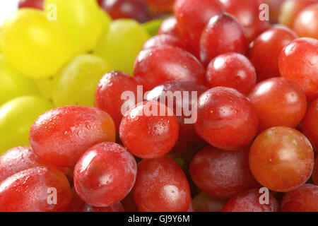 Dettaglio di grappoli di uve bianche e rosse, Foto Stock