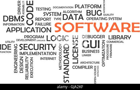 Word cloud - software Illustrazione Vettoriale
