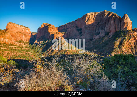 Nagunt Mesa, legname Top Mountain, Shuntavi Butte, vista da Kolob canyon si affacciano al tramonto, il Parco Nazionale di Zion, Utah, Stati Uniti d'America Foto Stock