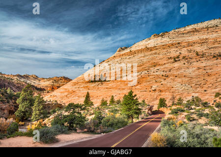 Crossbedded slickrock formazione, lungo Sion - Mount Carmel Highway, vicino Oriente, ingresso al Parco Nazionale Zion, Utah, Stati Uniti d'America Foto Stock