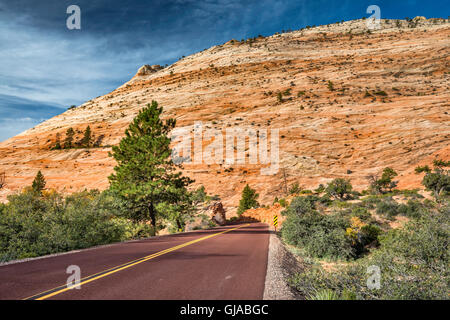 Crossbedded slickrock formazione, lungo Sion - Mount Carmel Highway, vicino Oriente, ingresso al Parco Nazionale Zion, Utah, Stati Uniti d'America Foto Stock