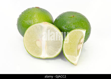 Limone (Altri nomi sono calce in francese, agrumi, verde lime, key lime, persiano di calce, combava, deserto lime) con ha Foto Stock