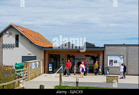 Il Centro Visita di Bempton Cliffs, un RSPB riserva naturale, East Yorkshire, Inghilterra, Regno Unito Foto Stock