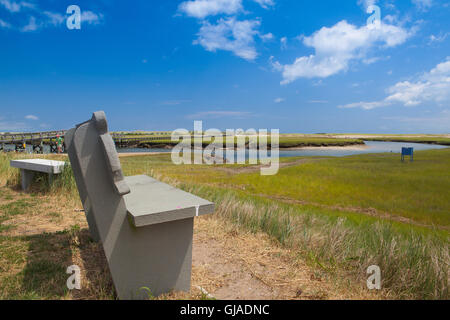 Banco di cemento vicino alla passerella per le dune. Passerella in legno si estende su una palude verso il lontano dalle dune e oceano nel Sandwi Foto Stock