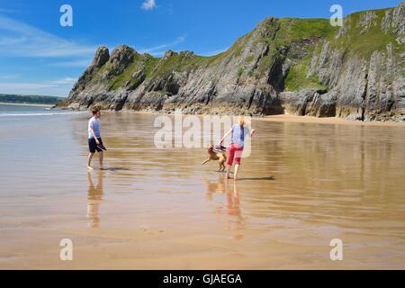 Cane a camminare e divertirsi su una spiaggia deserta Foto Stock