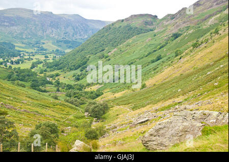 Border Collie cane discendente dal sollevamento elevato lungo greenup gill verso borrowdale, Keswick, Lake District, cumbria Foto Stock