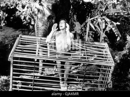 Tarzan sfugge, aka: Tarzans Rache, USA 1936, Regie: Richard Thorpe, Darsteller: Johnny Weissmüller Foto Stock